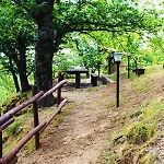 Colle Angaro-azienda Agrituristica Bed & Breakfast Sersale