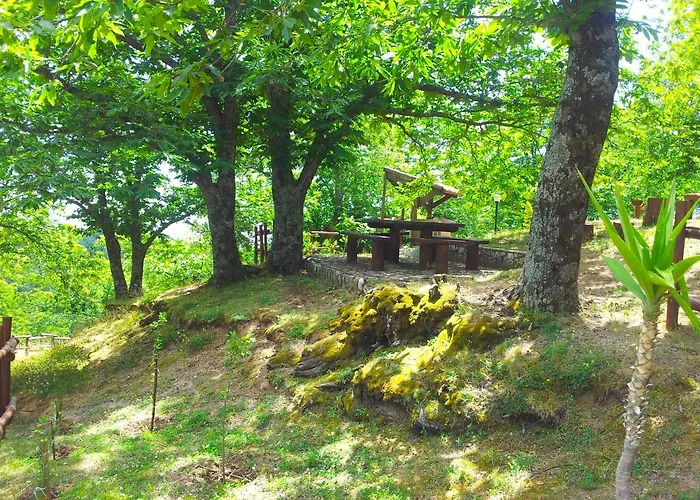 Colle Angaro-azienda Agrituristica Alojamento de Acomodação e Pequeno-almoço