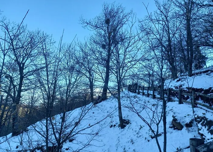 Colle Angaro-azienda Agrituristica Alojamento de Acomodação e Pequeno-almoço 3*